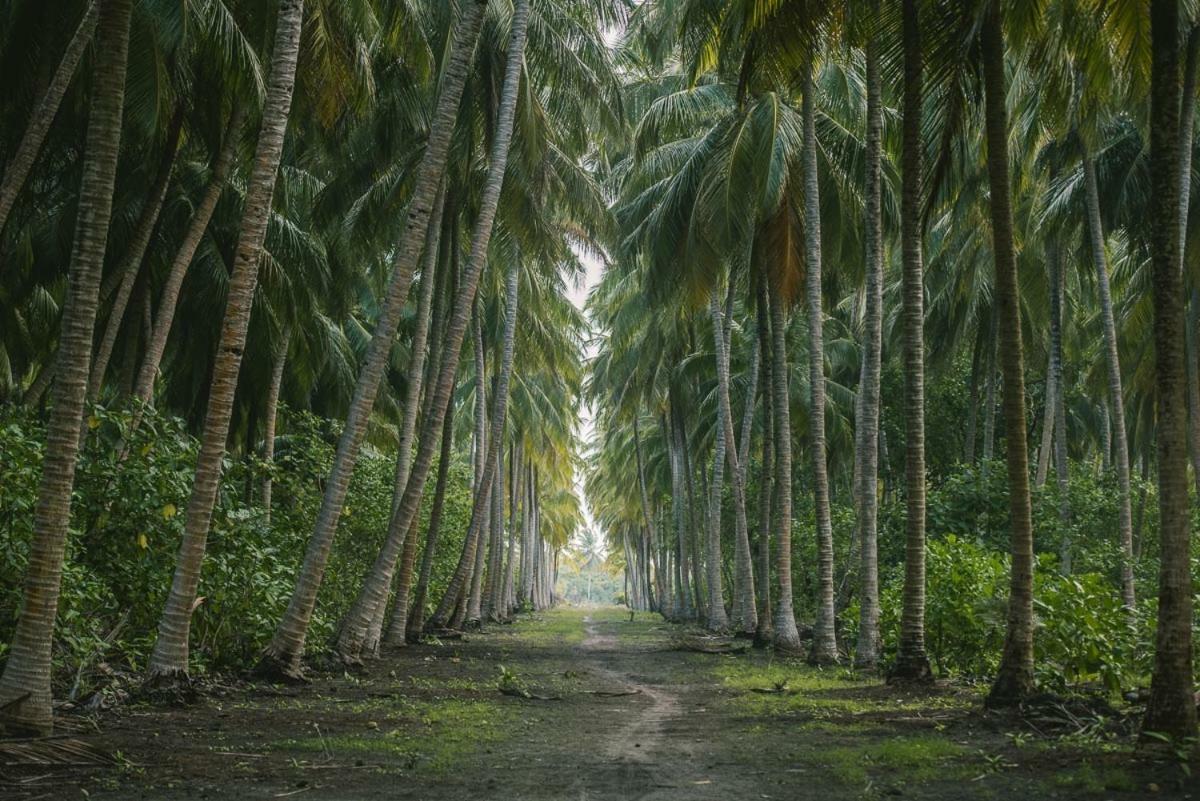 Reveries Maldives กาน ภายนอก รูปภาพ